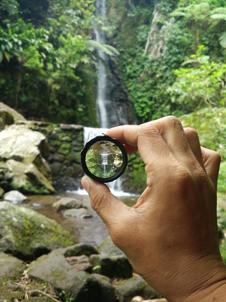 How to Explore Wildlife Safely and Responsibly